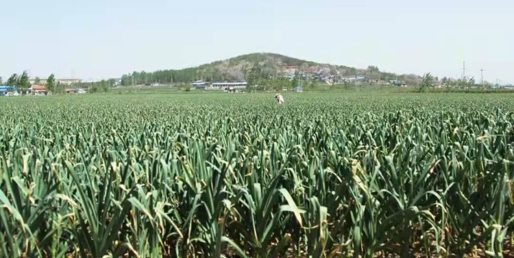 微信圖片_20211213172024.jpg 微信圖片_20211213172024.jpg