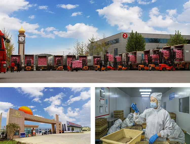 未標題-1.jpg 未標題-1.jpg